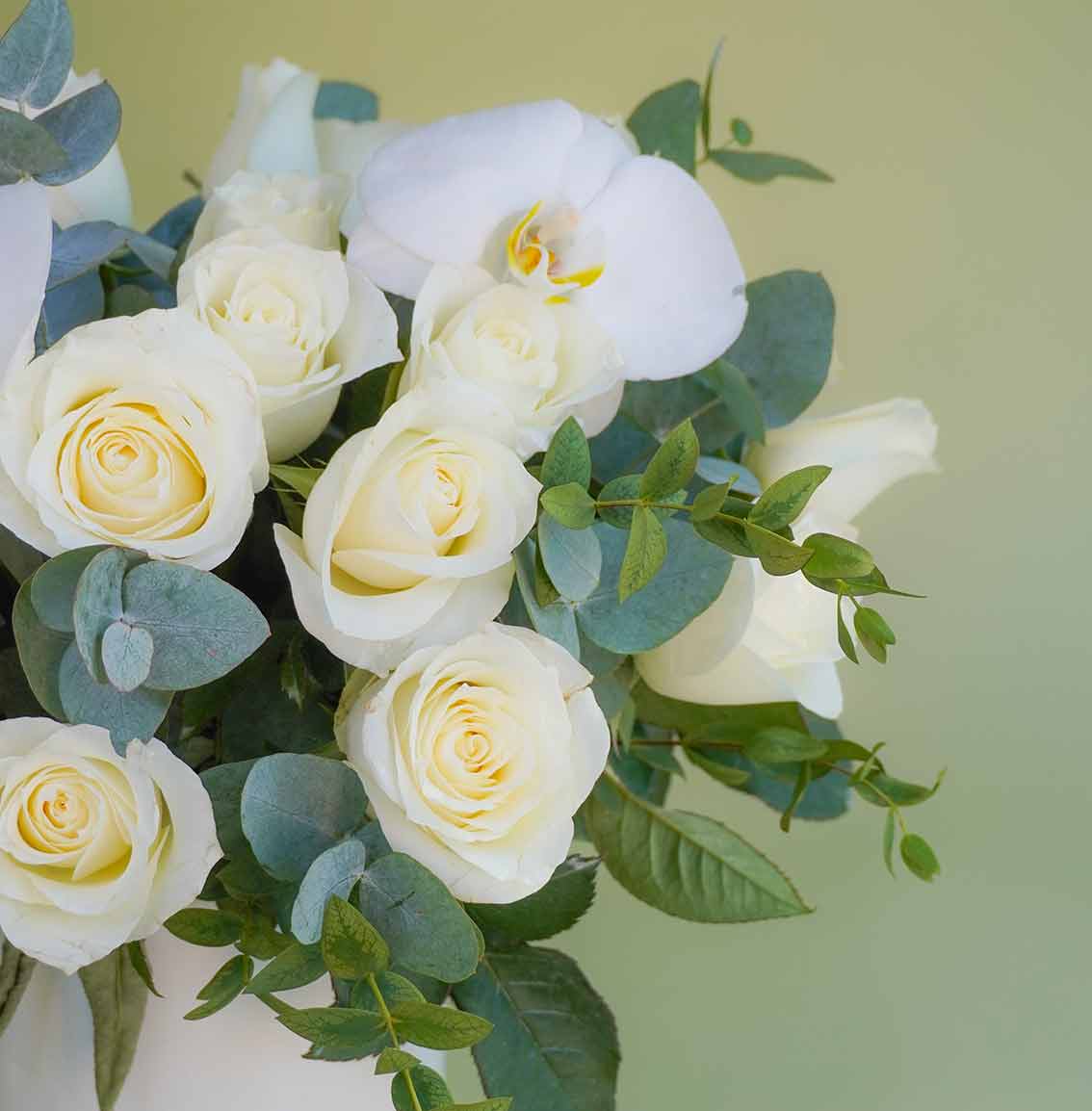 arreglo de rosas blancas a domicilio