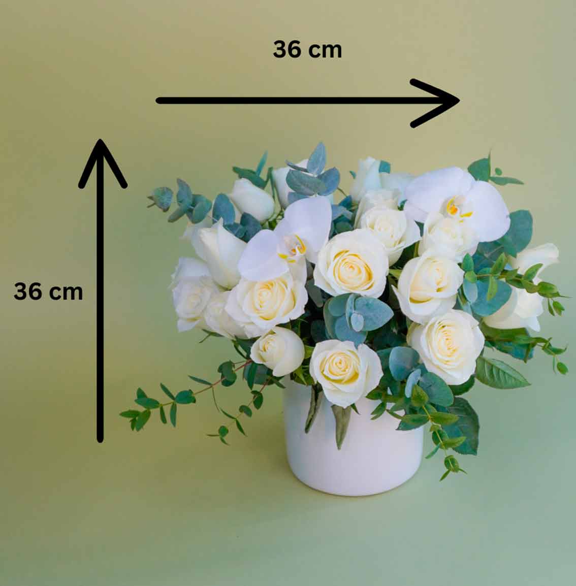 arreglo de rosas blancas medidas