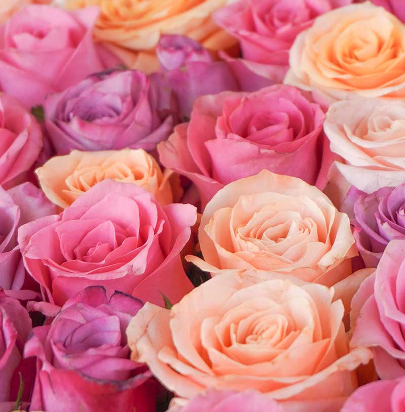 Arreglo en caja XL de 75 rosas - Para mamá