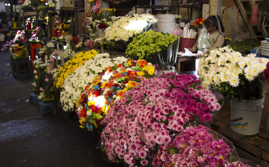 Mercado de Jamaica