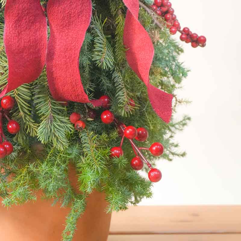 arbolito de navidad cdmx para envio a domicilio