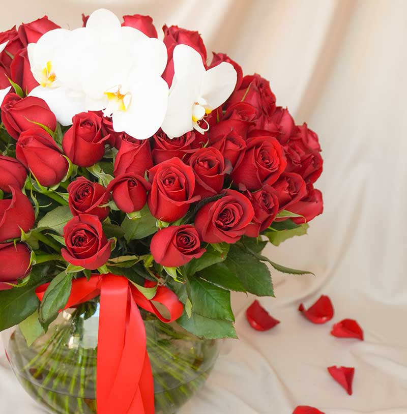 Majestuoso - 100 rosas rojas con orquídea 14 de febrero