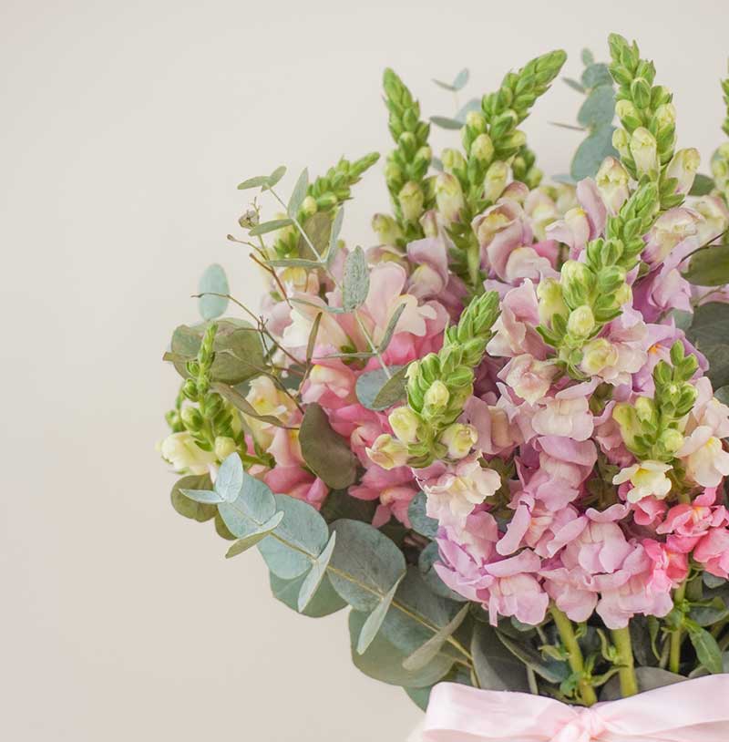 arreglo de flores de anthirrinums