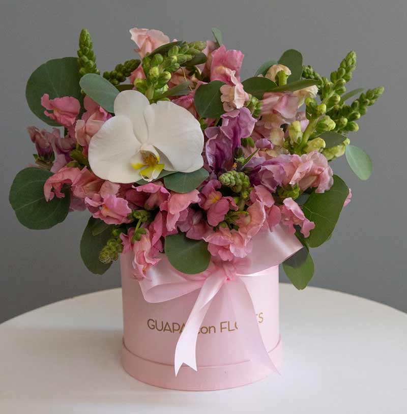arreglo de anthirrinums con orquídea