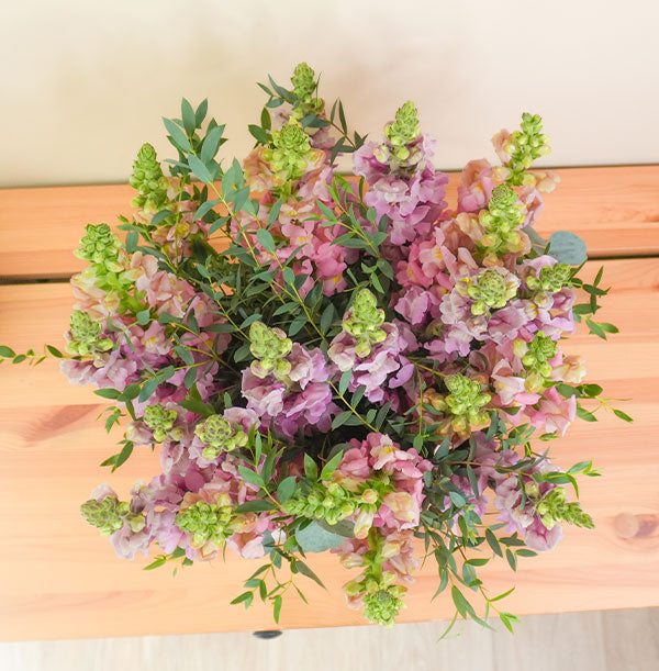 arreglo de flores de anthirrinums