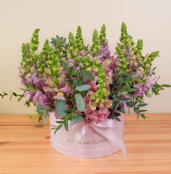 arreglo de flores ternira con anthirrinums en caja para envío