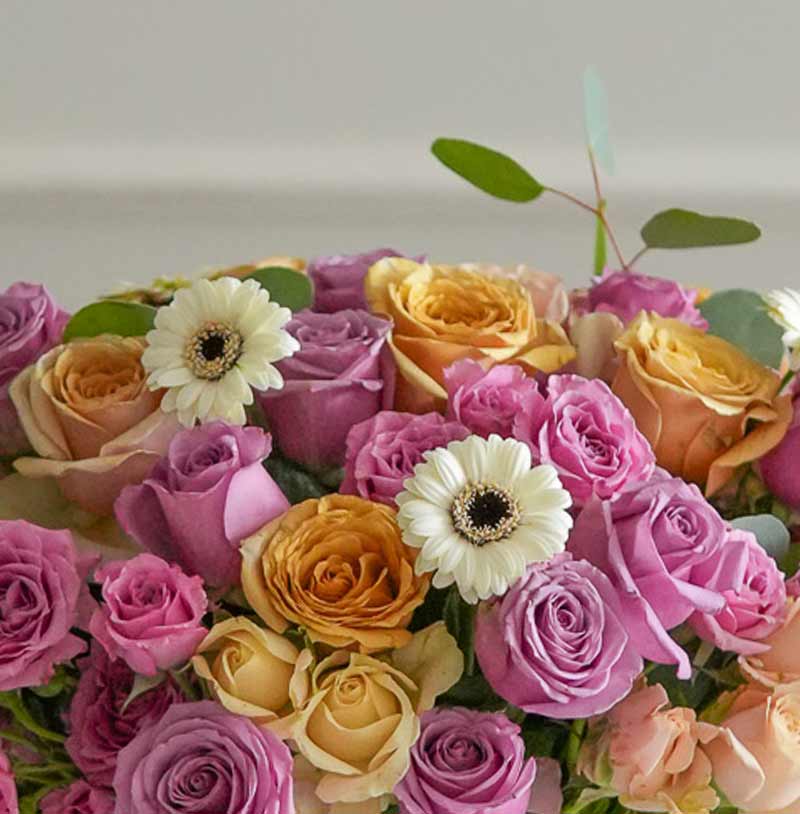 arreglo de rosas capuchino y rosas moradas con mini gerberas