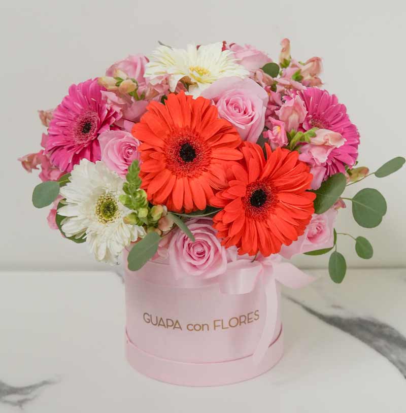 arreglo de rosas con gerberas para enviar y regalar a alguien especial