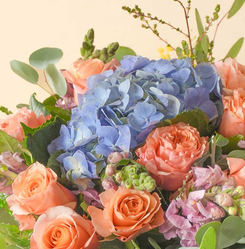 arreglo de rosas con hortensias para regalar