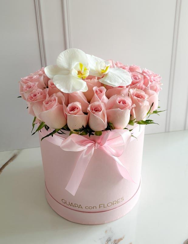Classico Pink Monterrey