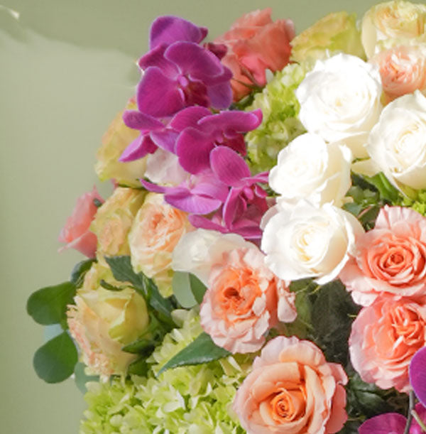 Fiji - Arreglo XL Rosas, hortensias y orquídeas