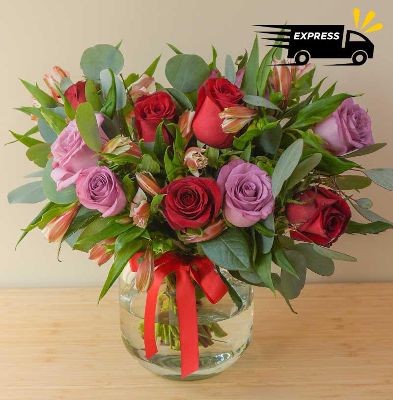 arreglo de rosas en 2 tonos con rosas rojas y moradas y alstromelias para regalar