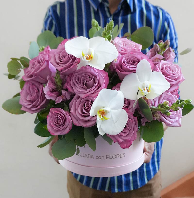 arreglo de rosas moradas para enviar a domicilio