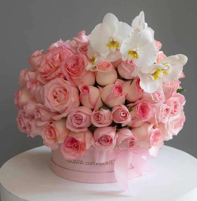 caja de 100 rosas con orquídeas para enviar