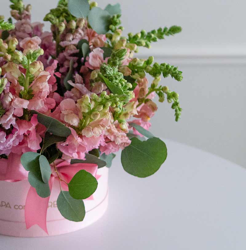 caja de flores para envío de anthirrinums