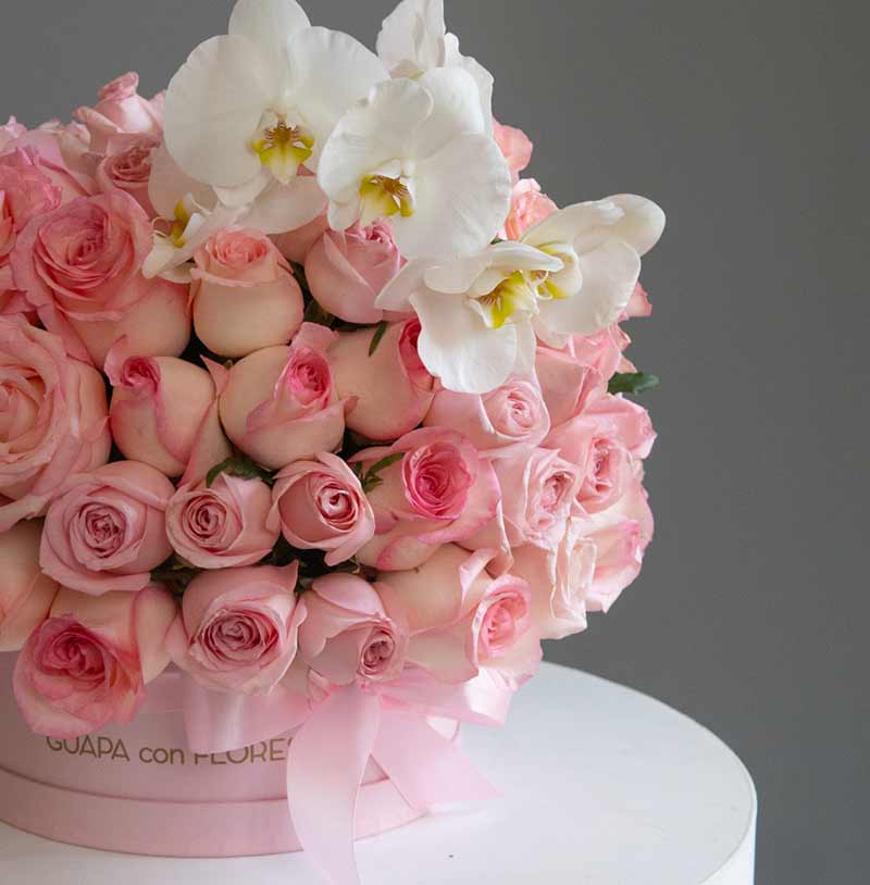 caja de rosas para mama 100 rosas 