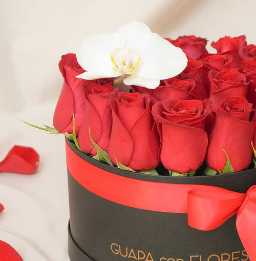 Classic Love - Caja con rosas rojas y orquídea 14 de Febrero