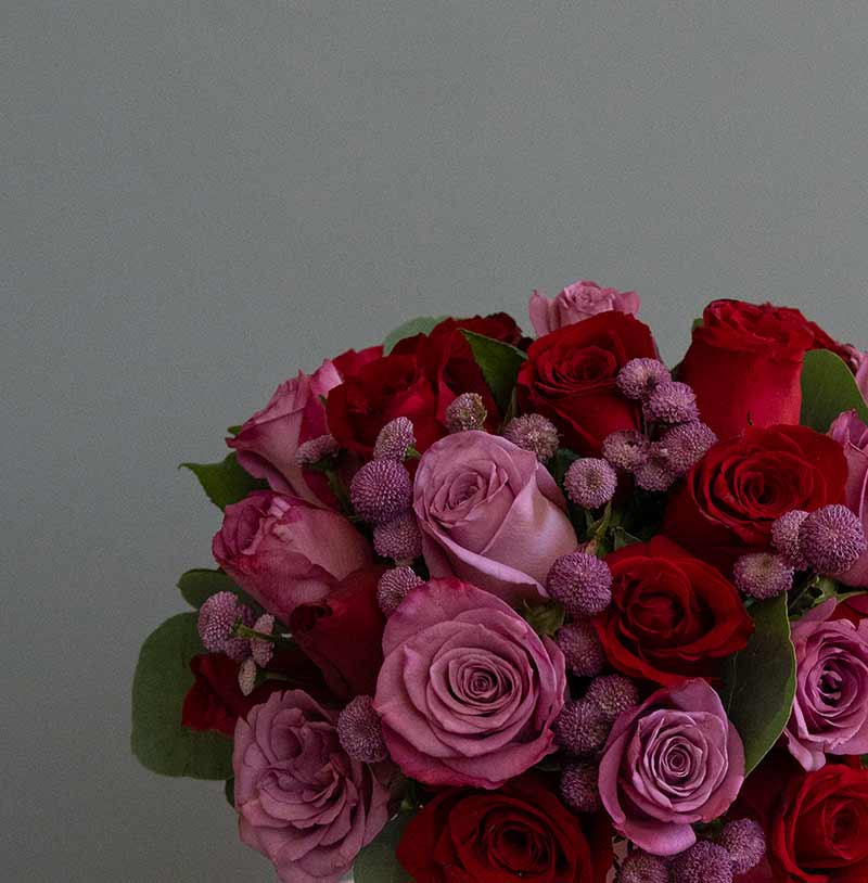 caja romántica de rosas rojas y moradas
