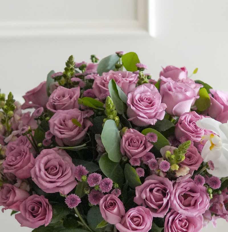 entrega de flores rosas moradas