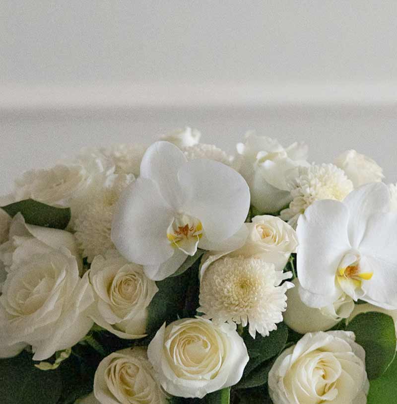 envía flores condolencias