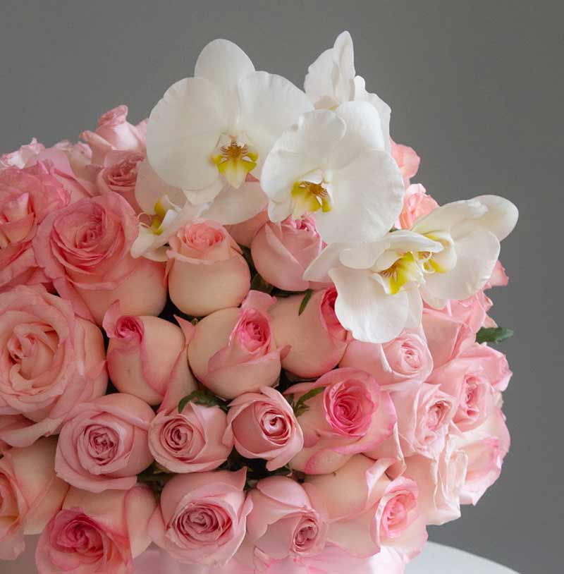 envia rosas con orquídeas
