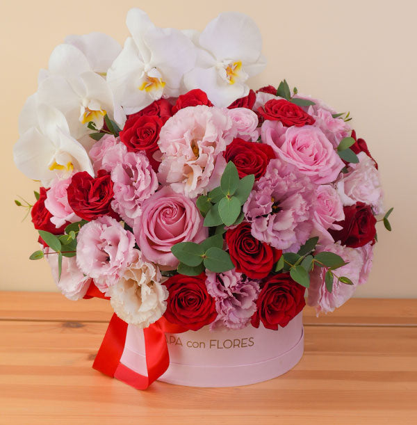 enviar flores y rosas elegantes de lujo co orquídeas