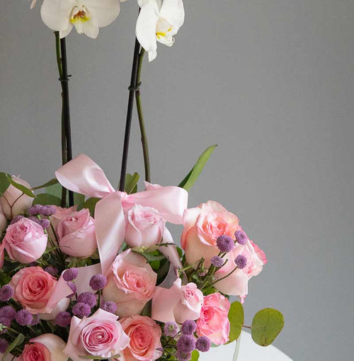 enviar flores para mamá con orquídea