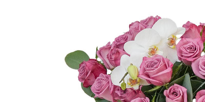 florerías guapa con flores a domicilio en cdmx