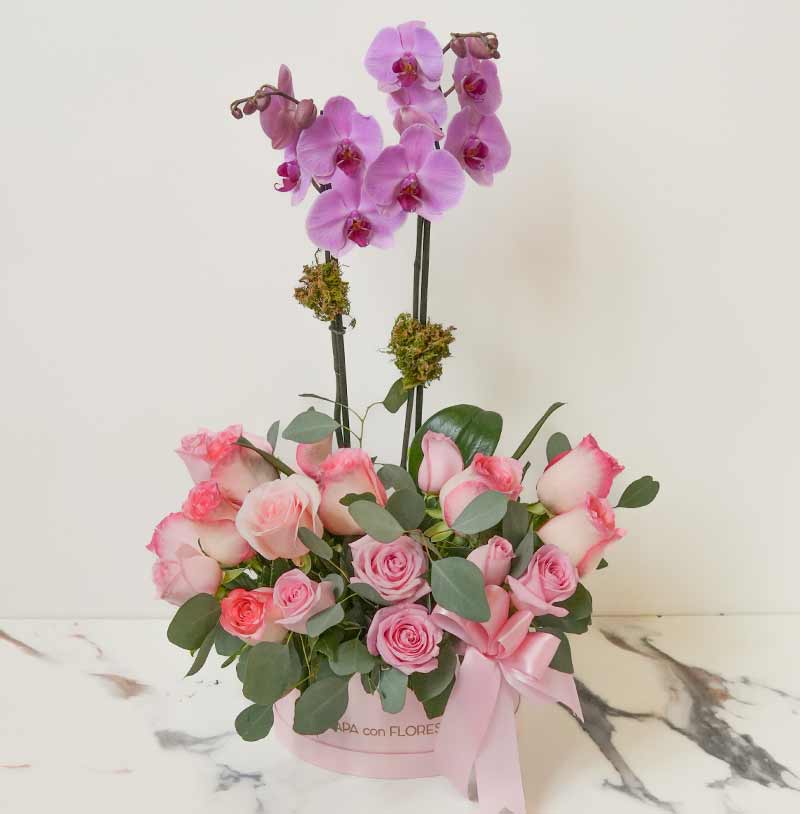 orquidea con flores a domicilio en cdmx