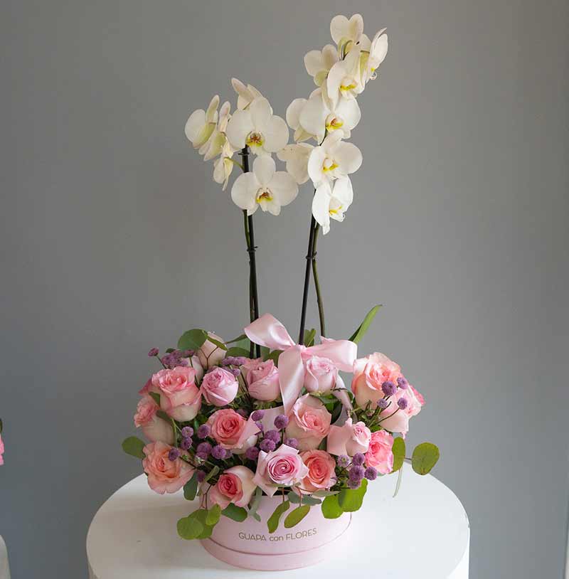 orquídea con flores con rosas con entrega en cdmx