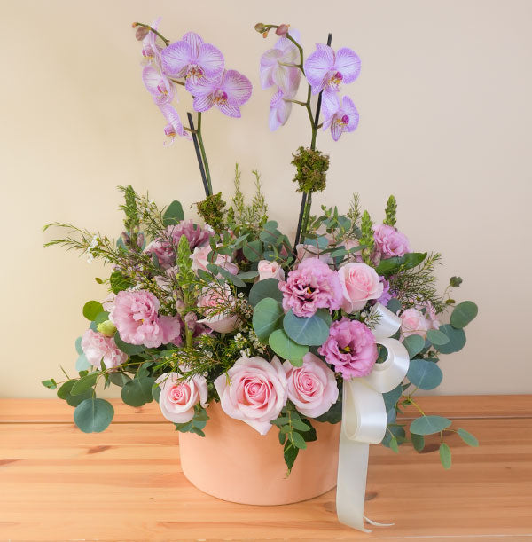 orquideas con flores para enviar como presente o regalo