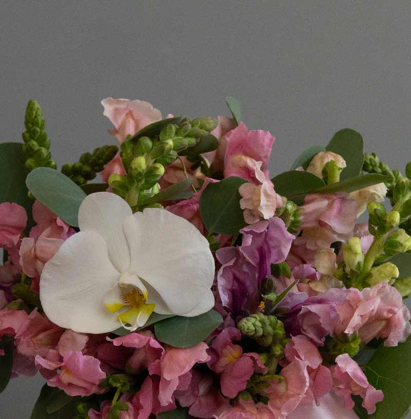 flores con orquídea para regalar