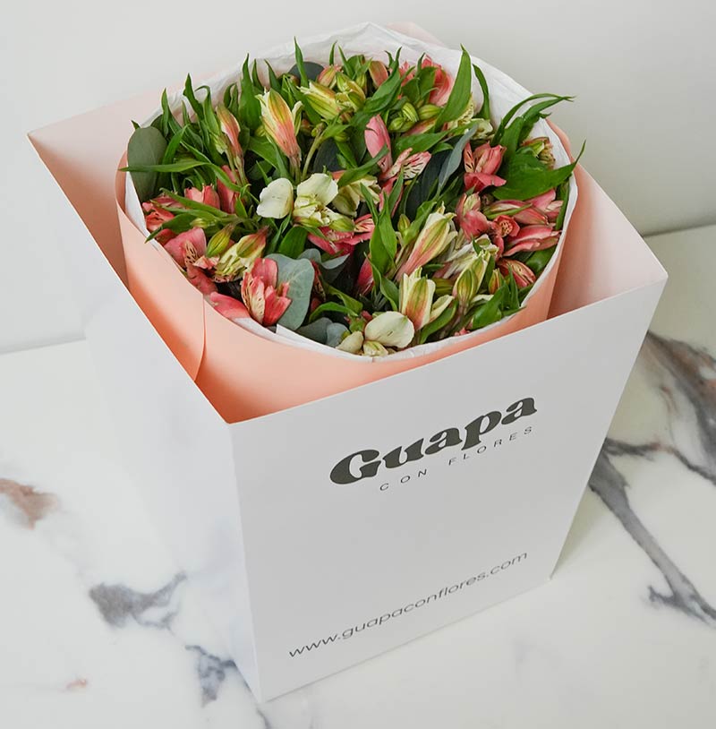 Celine Arreglo de Alstromelias - Entrega rápida