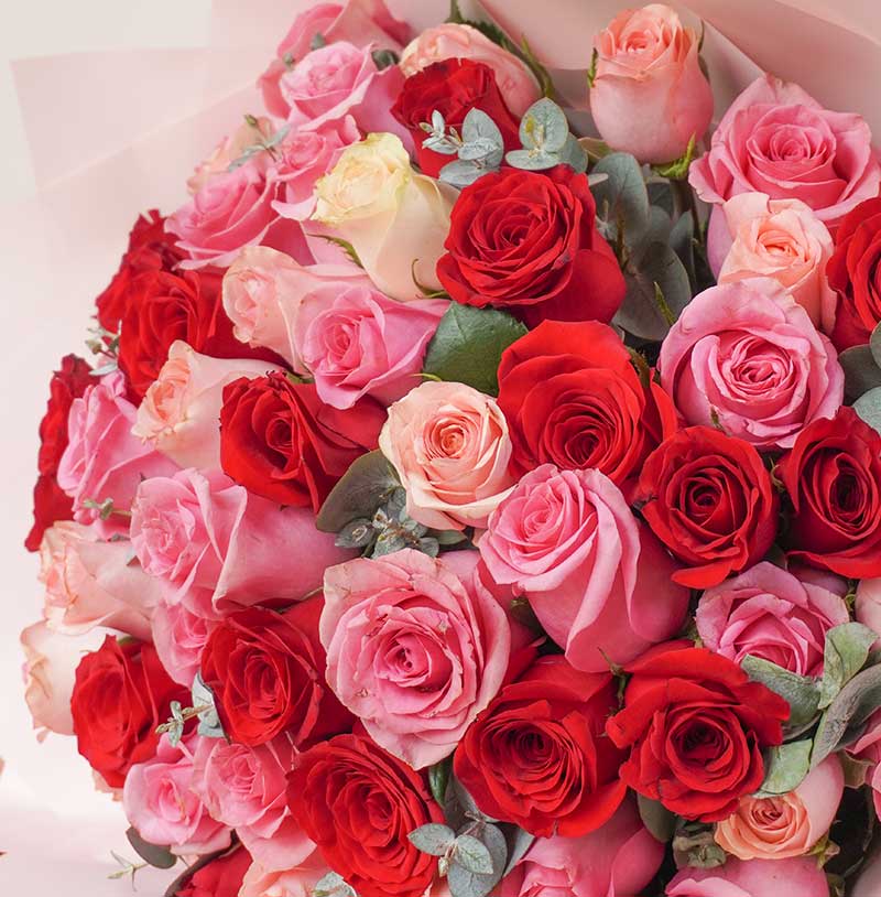 Ramo de 75 rosas de colores