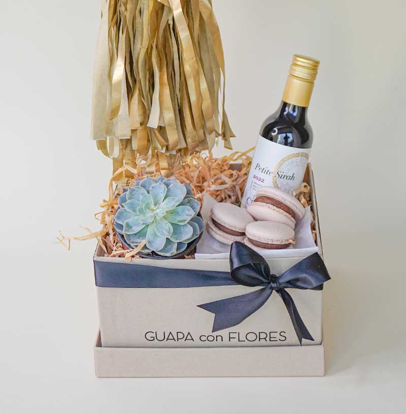 regalos para hombres con suculenta