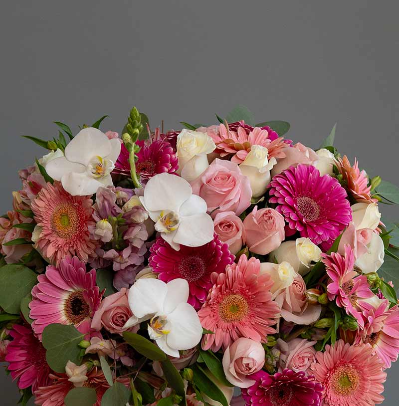 rosas y flores de orquídeas