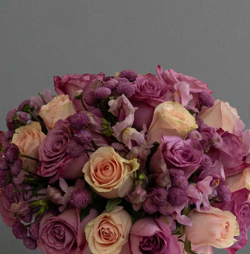 rosas en cajita para enviar