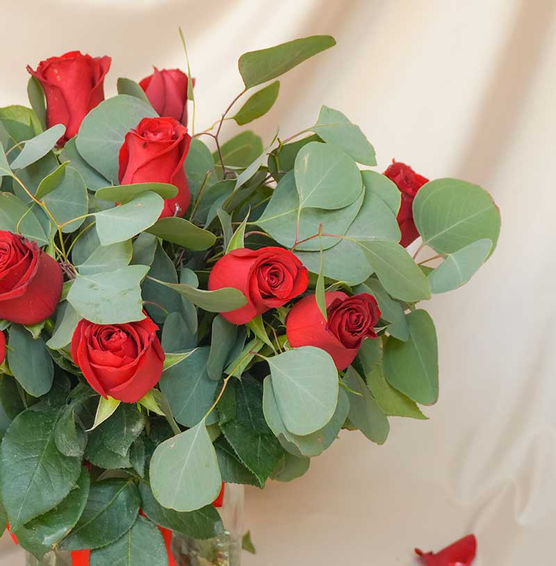 Arreglo de 24 rosas rojas con follaje - 14 de febrero