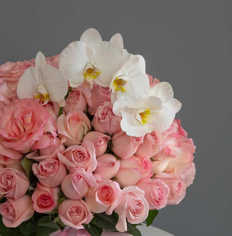 rosas rosas para mamá con envío