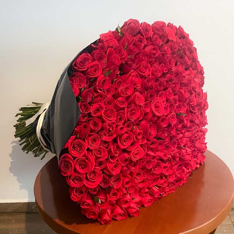 Maxi Bouquet- 300 rosas-Monterrey