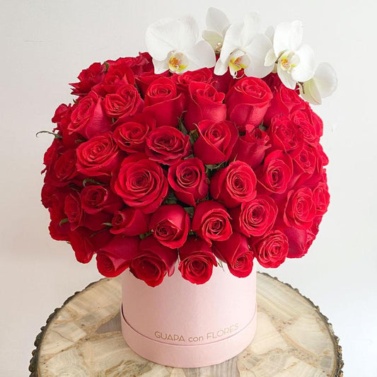 Be my Lover - Caja XL con 100 rosas y orquídea Phanelopsis-100 rosas y orquídea- Monterrey