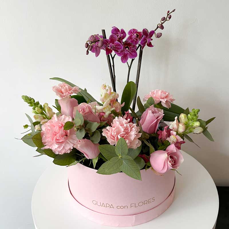 florerias con entrega a domicilio orquideas y flores